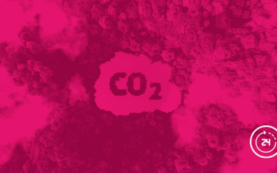 06/02/2026 – Brussels ready to review climate-altering gas emission allowance rules: sales on the EU-ETS market open – Read more news